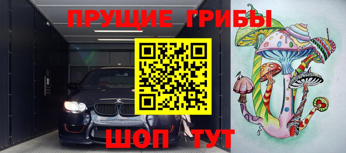 Брянск  Галлюциногенные грибы Cubensis  Вход с VPN  Псилоцибиновые грибы Psilocybe 