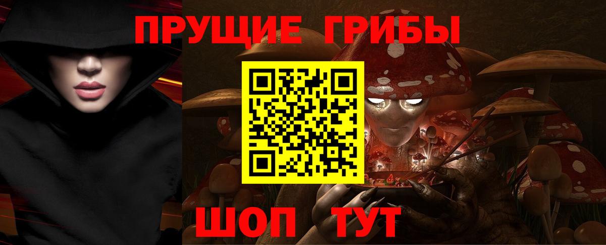 Псилоцибиновые грибы Psilocybine cubensis Брянск